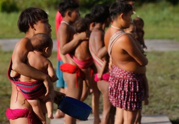 Caminhos da Reportagem volta à TI Yanomami dois anos após crise