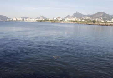 Secretaria identifica navio que derramou óleo na Baía de Guanabara