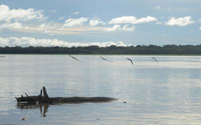 Seca: governo paga auxílio para pescadores da Região Norte