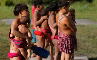 Caminhos da Reportagem volta à TI Yanomami dois anos após crise