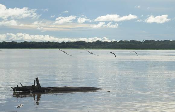 Seca: governo paga auxílio para pescadores da Região Norte