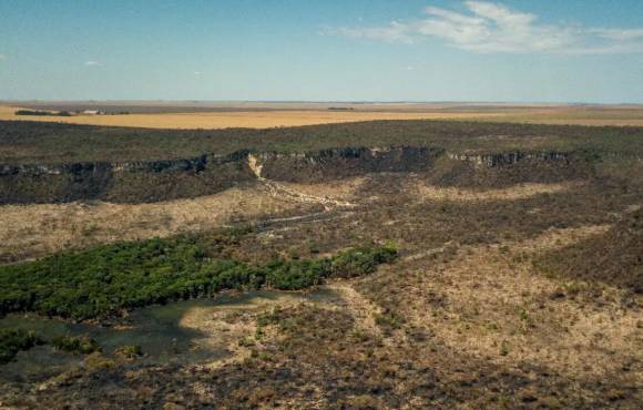 Após cinco anos de aumento, desmatamento no Cerrado tem queda