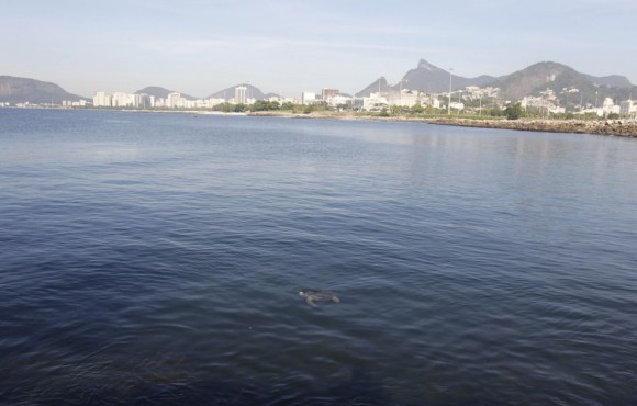 Secretaria identifica navio que derramou óleo na Baía de Guanabara